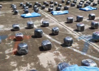 DEJAN ABANDONADA CAMIONETA CON MEDIA TOLENADA DE MARIHUANA EN TUCUMILLAS