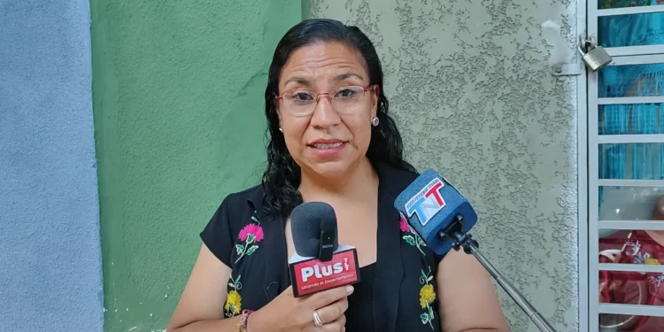 Asambleísta alerta que la crisis agrava la anemia en gestantes y aumenta nacimientos prematuros en Tarija