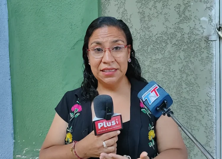 Asambleísta alerta que la crisis agrava la anemia en gestantes y aumenta nacimientos prematuros en Tarija