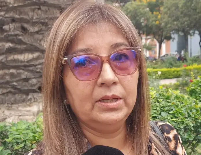 Ocupación de hotelería formal en Tarija por el Carnaval fluctuó entre 80 y 82%