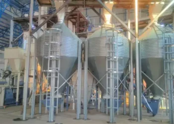 Tres empresas en San Lorenzo están en prueba, capacitación y precisan capital