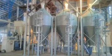 Tres empresas en San Lorenzo están en prueba, capacitación y precisan capital