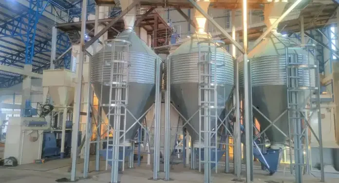 Tres empresas en San Lorenzo están en prueba, capacitación y precisan capital