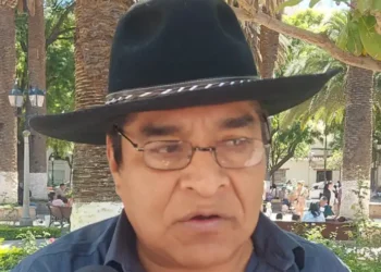 Bolivia tendría que dejar de exportar electricidad y vender más gas natural