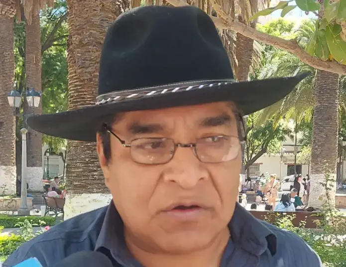 Bolivia tendría que dejar de exportar electricidad y vender más gas natural