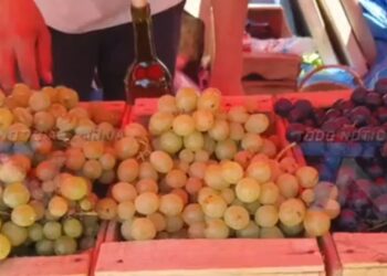 FERIA XIV PRODUCTIVA Y DE LA VID EN SAN JACINTO NORTE