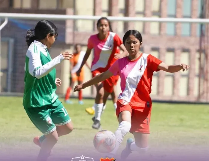 Tarija perdió 0 – 1 con Santa Cruz en el nacional. d. amas Sub – 17