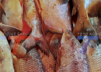 AUMENTA LA DEMANDA DE PESCADO POR SEMANA SANTA.