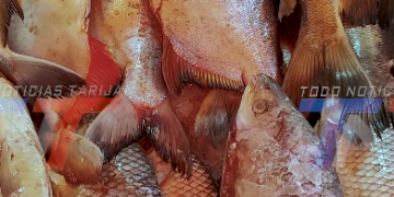 AUMENTA LA DEMANDA DE PESCADO POR SEMANA SANTA.