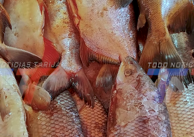 AUMENTA LA DEMANDA DE PESCADO POR SEMANA SANTA.