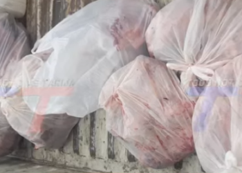 INTENDENCIA DECOMISÓ 48 KILOS DE CARNE EN MAL ESTADO EN SENAC.