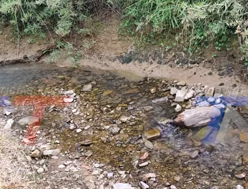 MUNICIPIO INAUGURA CORREDOR HIDROECOLÓGICO EN LA QUEBRADA VERDÚN.