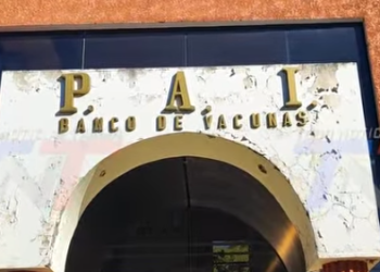 PESE A LA REDUCCIÓN DE PERSONAL, EL PAI CONTINÚA SUS ACTIVIDADES.