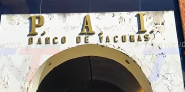 PESE A LA REDUCCIÓN DE PERSONAL, EL PAI CONTINÚA SUS ACTIVIDADES.