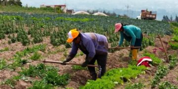 Confederación de campesinos pide no promulgar ley 157
