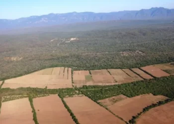 Defensor lamenta que la Asamblea apruebe sin debate ley de conversión de la pequeña a mediana propiedad