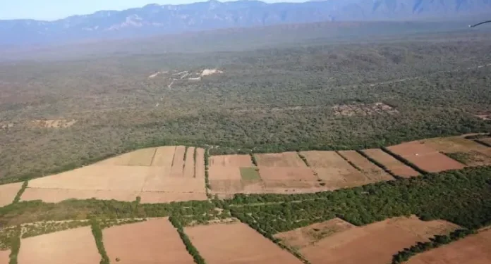 Defensor lamenta que la Asamblea apruebe sin debate ley de conversión de la pequeña a mediana propiedad