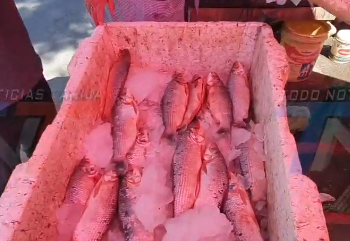 BAJO EL PRECIO DEL PESCADO DE VILLAMINTES DESDE 5 BS. LLEGARON VARIOS CAMIINES FRENTE AL CENTRO MARIA DE LOS ANGELES B. LAS PASCUAS