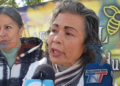 APICULTORES RECUERDAN HOY DIA MUNDIAL DE LA ABEJA Y PIDEN APOYO Y PROYECTOS PARA ESTE SECTOR.