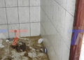 DENUNCIAN QUE DELINCUENTES DESMANTELARON BAÑOS Y ROBARON EL CABLEADO DE LOS GALPONES DEL CAMPO FERIAL EL CONSTRUCTOR.