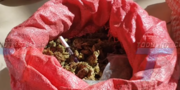 DOS ALLANAMIENTOS ANTINARC0TIC0S PERMITEN EL SECUESTRO DE MÁS DE 10 KILOS DE MARIHUANA DESTINAD0S AL MICR0TRAFIC0 EN TARIJA.