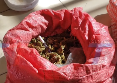 DOS ALLANAMIENTOS ANTINARC0TIC0S PERMITEN EL SECUESTRO DE MÁS DE 10 KILOS DE MARIHUANA DESTINAD0S AL MICR0TRAFIC0 EN TARIJA.