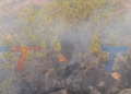 TRAS LOS INCENDIOS DEL AÑO PASADO, BARRIOS CERCANOS A LA CORDILLERA SE PREPARAN CON UN SIMULACRO DE EVACUACIÓN Y RESPUESTA RÁPIDA