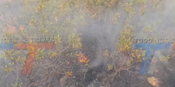 TRAS LOS INCENDIOS DEL AÑO PASADO, BARRIOS CERCANOS A LA CORDILLERA SE PREPARAN CON UN SIMULACRO DE EVACUACIÓN Y RESPUESTA RÁPIDA