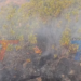 TRAS LOS INCENDIOS DEL AÑO PASADO, BARRIOS CERCANOS A LA CORDILLERA SE PREPARAN CON UN SIMULACRO DE EVACUACIÓN Y RESPUESTA RÁPIDA