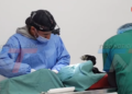 HASTA 40 ANIMALES SON ESTERILIZADOS CADA DÍA EN EL MARCO DEL PROGRAMA MUNICIPAL GRATUITO. INTENSIFICAN CAMPAÑAS GRATUITAS DE ESTERILIZACIÓN PARA FRENAR LA SOBREPOBLACIÓN CANINA Y FELINA