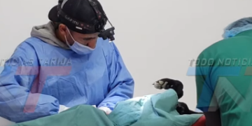 HASTA 40 ANIMALES SON ESTERILIZADOS CADA DÍA EN EL MARCO DEL PROGRAMA MUNICIPAL GRATUITO. INTENSIFICAN CAMPAÑAS GRATUITAS DE ESTERILIZACIÓN PARA FRENAR LA SOBREPOBLACIÓN CANINA Y FELINA
