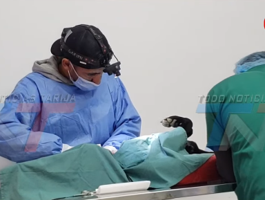 HASTA 40 ANIMALES SON ESTERILIZADOS CADA DÍA EN EL MARCO DEL PROGRAMA MUNICIPAL GRATUITO. INTENSIFICAN CAMPAÑAS GRATUITAS DE ESTERILIZACIÓN PARA FRENAR LA SOBREPOBLACIÓN CANINA Y FELINA