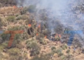 ¡PRIMER HERIDO DE LOS INCENDIOS! COMUNARIO CAYÓ 50 METROS POR UN CERRO MIENTRAS COMBATÍA LAS LLAMAS. UNA PIEDRA SE DESPRENDIÓ Y LE CAYÓ ENCIMA, FRACTURÁNDOLE TRES COSTILLAS