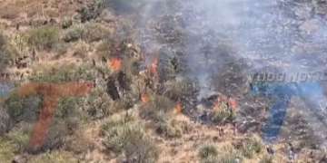 ¡PRIMER HERIDO DE LOS INCENDIOS! COMUNARIO CAYÓ 50 METROS POR UN CERRO MIENTRAS COMBATÍA LAS LLAMAS. UNA PIEDRA SE DESPRENDIÓ Y LE CAYÓ ENCIMA, FRACTURÁNDOLE TRES COSTILLAS