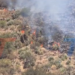 ¡PRIMER HERIDO DE LOS INCENDIOS! COMUNARIO CAYÓ 50 METROS POR UN CERRO MIENTRAS COMBATÍA LAS LLAMAS. UNA PIEDRA SE DESPRENDIÓ Y LE CAYÓ ENCIMA, FRACTURÁNDOLE TRES COSTILLAS