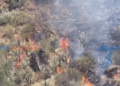 NO SOLO SE QUEMARON LOS CERROS. GANADEROS PERDIERON EL FORRAJE, HAY ANIMALES MUERTOS Y OTROS DESAPARECIDOS TRAS LOS INCENDIOS