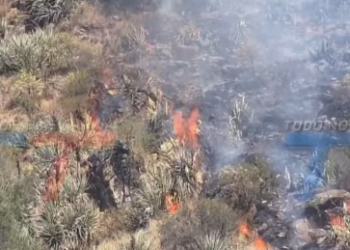 NO SOLO SE QUEMARON LOS CERROS. GANADEROS PERDIERON EL FORRAJE, HAY ANIMALES MUERTOS Y OTROS DESAPARECIDOS TRAS LOS INCENDIOS