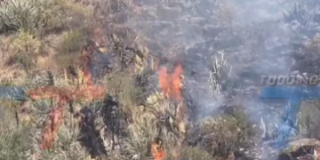 NO SOLO SE QUEMARON LOS CERROS. GANADEROS PERDIERON EL FORRAJE, HAY ANIMALES MUERTOS Y OTROS DESAPARECIDOS TRAS LOS INCENDIOS