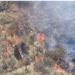 NO SOLO SE QUEMARON LOS CERROS. GANADEROS PERDIERON EL FORRAJE, HAY ANIMALES MUERTOS Y OTROS DESAPARECIDOS TRAS LOS INCENDIOS