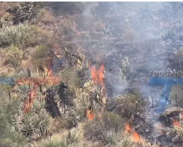 NO SOLO SE QUEMARON LOS CERROS. GANADEROS PERDIERON EL FORRAJE, HAY ANIMALES MUERTOS Y OTROS DESAPARECIDOS TRAS LOS INCENDIOS