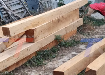 CARPINTEROS DE TARIJA DEJAN DE USAR CEDRO POR EL ALTO COSTO Y APUESTAN POR MADERA DE PINO LOCAL PARA MANTENER LA PRODUCCIÓN Y EVITAR QUE SUBAN LOS PRECIOS DE MUEBLES.