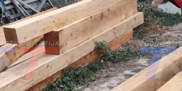CARPINTEROS DE TARIJA DEJAN DE USAR CEDRO POR EL ALTO COSTO Y APUESTAN POR MADERA DE PINO LOCAL PARA MANTENER LA PRODUCCIÓN Y EVITAR QUE SUBAN LOS PRECIOS DE MUEBLES.
