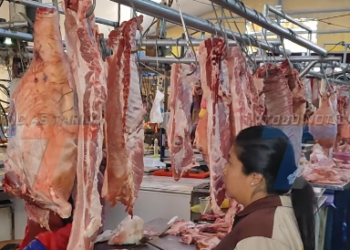 ADVIERTEN POSIBLE INCREMENTO EN EL PRECIO DE LA CARNE DE CHANCHO EN TARIJA POR EL ALZA DEL DIÉSEL Y EL ENCARECIMIENTO DE INSUMOS.