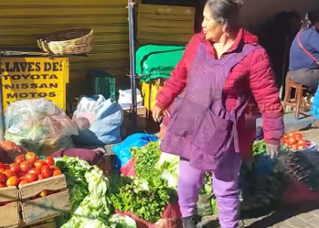 BAJAN LOS PRECIOS DE VARIAS VERDURAS EN TARIJA.
