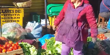 BAJAN LOS PRECIOS DE VARIAS VERDURAS EN TARIJA.