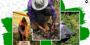 ALCALDÍA RINDE HOMENAJE A LOS PRODUCTORES EN EL DÍA DE LA REVOLUCIÓN AGRARIA PRODUCTIVA Y COMUNITARIA