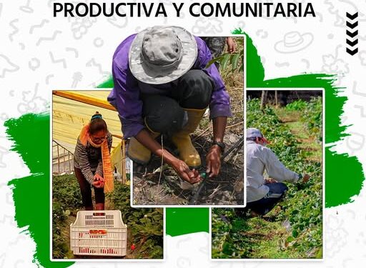 ALCALDÍA RINDE HOMENAJE A LOS PRODUCTORES EN EL DÍA DE LA REVOLUCIÓN AGRARIA PRODUCTIVA Y COMUNITARIA