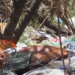 GRAN CANTIDAD DE POLLO EN PRESUNTO ESTADO DE DESCOMPOSICIÓN ABANDONADO EN BOLSAS AL BORDE DE LA CARRETERA EN TOLOMOSA, EN UNA QUEBRADA. COMUNARIOS EXPRESAN SU PREOCUPACIÓN POR EL RIESGO DE CONTAMINACIÓN