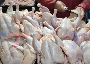ANTE LOS RECLAMOS POR EL ALZA DEL POLLO, DEFENSA DEL CONSUMIDOR GESTIONA UNA RESPUESTA DE AVICULTORES Y COORDINA REUNIONES CON LA INTENDENCIA Y OTRAS ENTIDADES PARA REALIZAR CONTROLES.