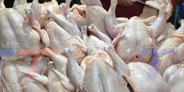 ANTE LOS RECLAMOS POR EL ALZA DEL POLLO, DEFENSA DEL CONSUMIDOR GESTIONA UNA RESPUESTA DE AVICULTORES Y COORDINA REUNIONES CON LA INTENDENCIA Y OTRAS ENTIDADES PARA REALIZAR CONTROLES.
